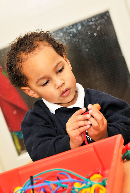 Galleryimage1 Artemis Nursery Hastings